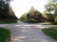 croisée des chemins