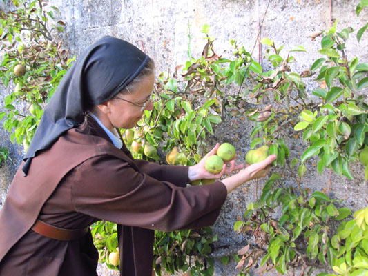 moniale carmélite de Verdun au jardin