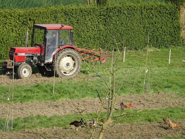 travail au jardin à l'abbaye Saint-Paul de Wisques