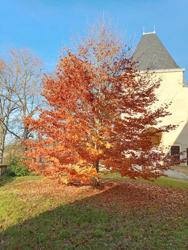 jardin de l'abbaye sainte-Marie de Maumont